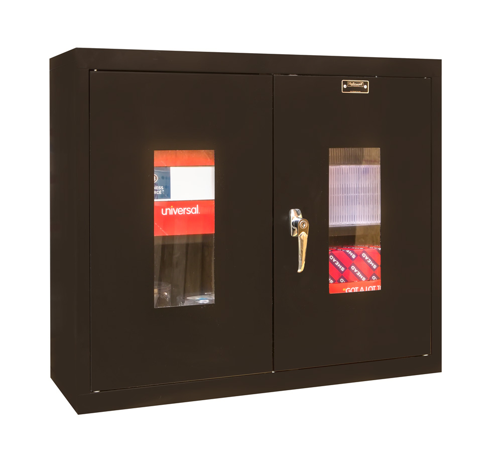 Wall Mount Cabinet with Safety View Doors