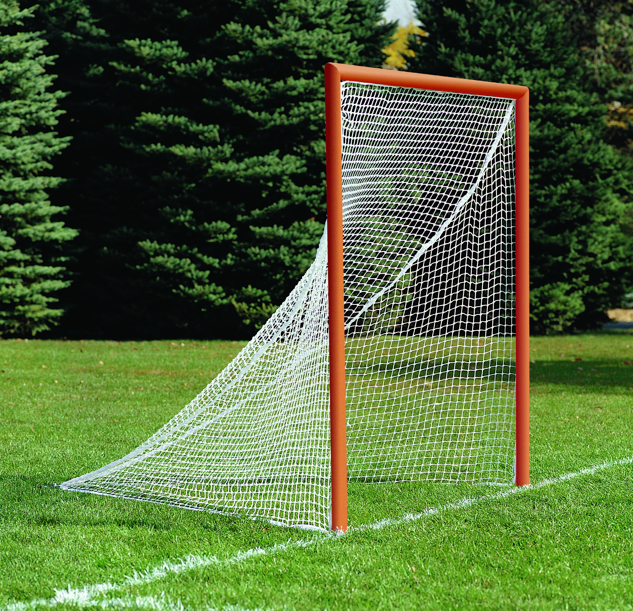 Lacrosse Goal